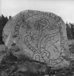 Runsten i Lästringe, 1958 — Jan Lindberg; This file was provided to Wikimedia Commons by Sörmlands museum . The museum's digitized collections can be explored here .. Public Domain Mark 1.0