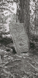 Upplands runinskrifter 1136 — Unknown author Unknown author; https://app.raa.se/open/runor/inscription?id=1b187b23-6125-4059-b6b8-58e0c593f0ce. CC0 1.0