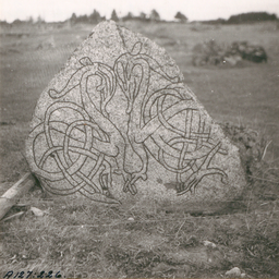 Upplands runinskrifter 772 — Sven BF Jansson; https://app.raa.se/open/runor/inscription?id=cbbba56b-a48c-4735-89a7-9920730c718a. CC0 1.0
