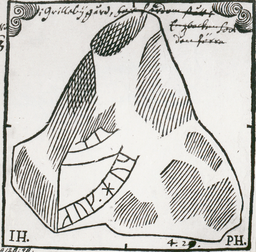 Upplands runinskrifter 730 — Petrus Helgonius och Johan Hadorph; https://app.raa.se/open/runor/inscription?id=52586341-3e63-46f2-b1df-3bf02ec311c6. CC0 1.0