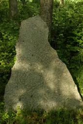 U492 — Uwe Zimmermann; Self-photographed. CC BY-SA 3.0