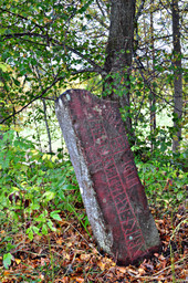 Runsten Sö 160 Täckhammar — Helen Simonsson; Own work. CC BY-SA 3.0