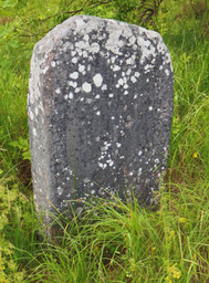Upplands runinskrifter 1180 — Uwezi; Own work. CC BY-SA 4.0