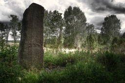 RunensteinKarestad — Narcolepsie; Own work. CC BY-SA 3.0