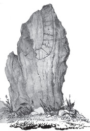 Sö 181, Helanda — Richard Dybeck; Dybeck, Richard (1855). Svenska run-urkunder , Första Samlingen. Stockholm. Joh. Beckmann.. Public Domain Mark 1.0