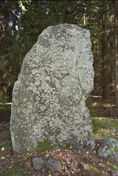 U690 Hälsingbo — Bengt A. Lundberg; Bengt A Lundberg / Kulturmiljöbild, Riksantikvarieämbetet This file was provided to Wikimedia Commons by the Swedish National Heritage Board as part of the cooperation project Connected Open Heritage with Wikimedia Sverige . This file was made available by Riksantikvarieämbetet as part of the Connected Open Heritage project. The project is led by Wikimedia Sverige in cooperation with UNESCO, Wikimedia Italia and Cultural Heritage without Borders and is financed by a project grant from the Culture Foundation of the Swedish Postcode Lottery .; Bengt A Lundberg / Riksantikvarieämbetet. CC BY 2.5
