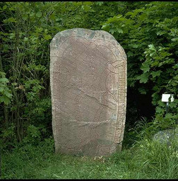 U1149 Fleräng — Bengt A. Lundberg; Bengt A Lundberg / Kulturmiljöbild, Riksantikvarieämbetet This file was provided to Wikimedia Commons by the Swedish National Heritage Board as part of the cooperation project Connected Open Heritage with Wikimedia Sverige . This file was made available by Riksantikvarieämbetet as part of the Connected Open Heritage project. The project is led by Wikimedia Sverige in cooperation with UNESCO, Wikimedia Italia and Cultural Heritage without Borders and is financed by a project grant from the Culture Foundation of the Swedish Postcode Lottery .; Bengt A Lundberg / Riksantikvarieämbetet. CC BY 2.5