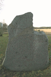U866 Björnome — Bengt A. Lundberg; Bengt A Lundberg / Kulturmiljöbild, Riksantikvarieämbetet This file was provided to Wikimedia Commons by the Swedish National Heritage Board as part of the cooperation project Connected Open Heritage with Wikimedia Sverige . This file was made available by Riksantikvarieämbetet as part of the Connected Open Heritage project. The project is led by Wikimedia Sverige in cooperation with UNESCO, Wikimedia Italia and Cultural Heritage without Borders and is financed by a project grant from the Culture Foundation of the Swedish Postcode Lottery .; Bengt A Lundberg / Riksantikvarieämbetet. CC BY 2.5