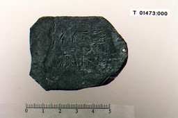 t_01473_000.tif — Ole Bjørn Pedersen; NTNU Vitenskapsmuseet. CC BY-SA 4.0