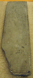 Da62557_T446.jpg — Lisa Monner; NTNU Vitenskapsmuseet. CC BY-SA 4.0