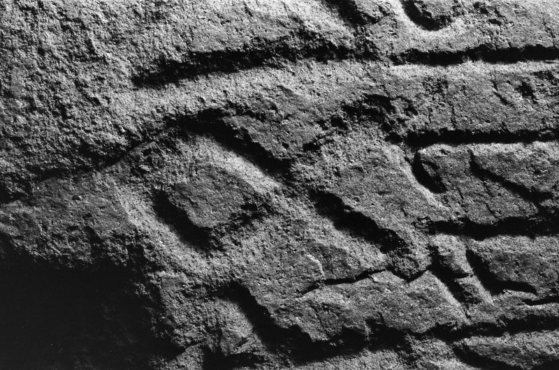 L2764. Runer. Eldre jernalder. Tune kirke [I 2025: Tune Store gnr. 2065, Sarpsborg, Østfold]. Liestøl. Aslak. Februar 1982
2025: Tunesteinen. I Unimus C2092 Runestein av bergart. Tune Store gnr. 2065, Tune kirke bnr. 1, Sarpsborg, Østfold