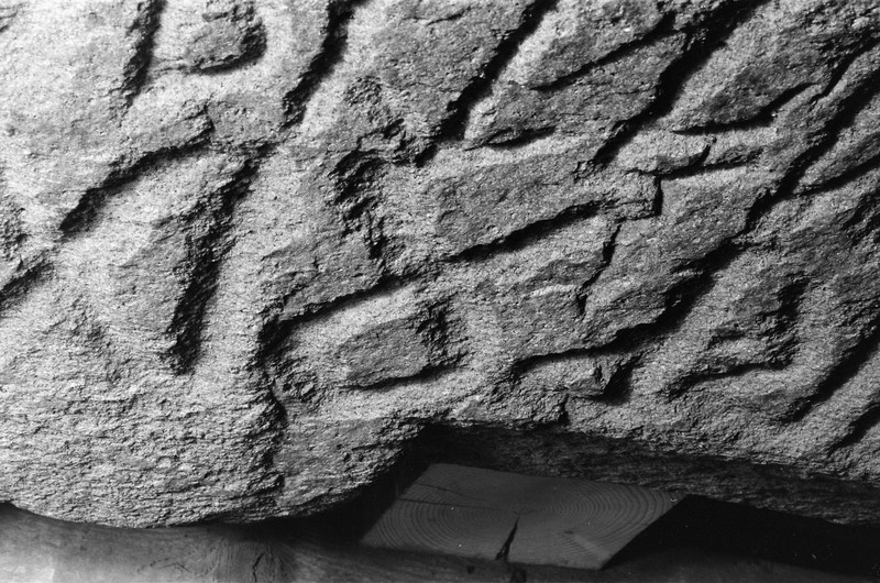 L2764. Runer. Eldre jernalder. Tune kirke [I 2025: Tune Store gnr. 2065, Sarpsborg, Østfold]. Liestøl. Aslak. Februar 1982
2025: Tunesteinen. I Unimus C2092 Runestein av bergart. Tune Store gnr. 2065, Tune kirke bnr. 1, Sarpsborg, Østfold